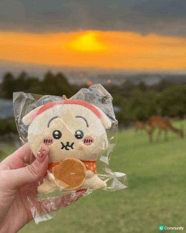 日本奈良若草山係睇日落聖地💗💗 有埋啲鹿仔一齊合照影相真係好...