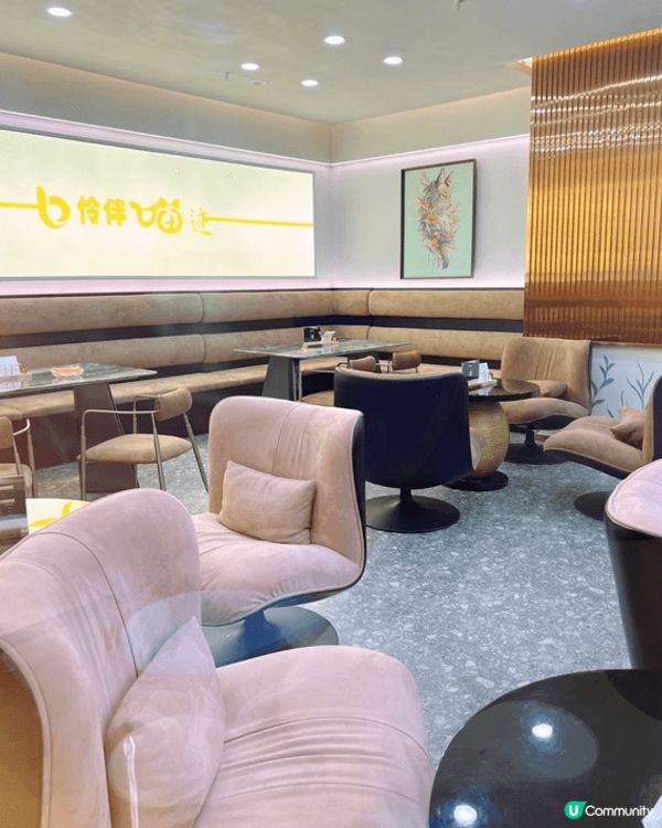 #北上度假計劃  去咗深圳南山區玩, 入咗一間貓貓Cafe,...