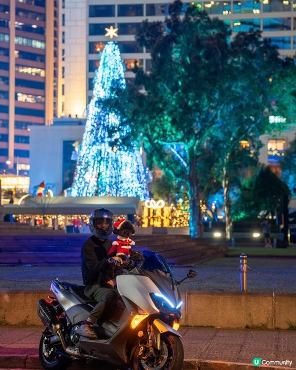 聖誕燈飾睇唔成 😭 唯有另類打卡📸