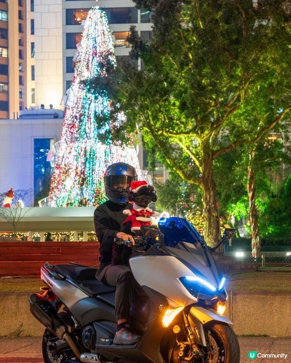 聖誕燈飾睇唔成 😭 唯有另類打卡📸