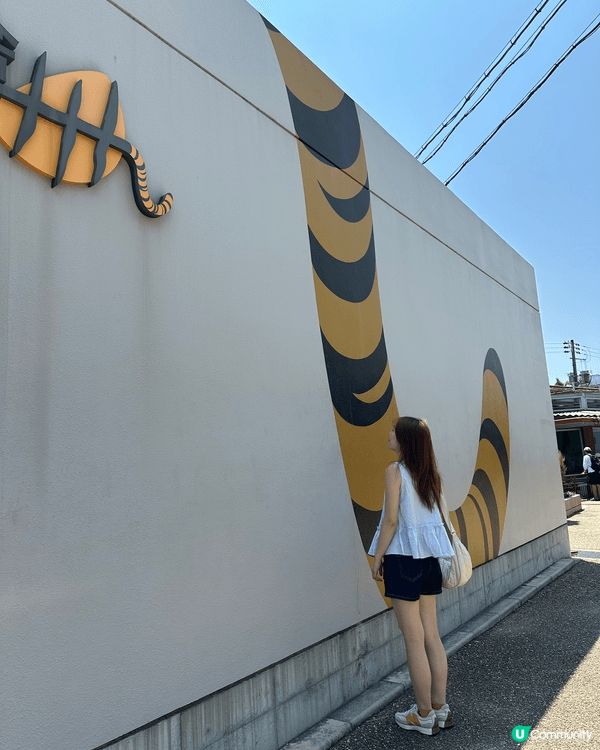 餵羊駝時羊駝吐口水啜到姪仔件T恤，佢仲話「羊駝同我接吻呀！」...
