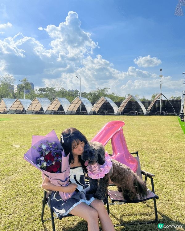 一次說走就走的旅行，給予自己忙裏偷閑突如其來假期。去滿夢未以...