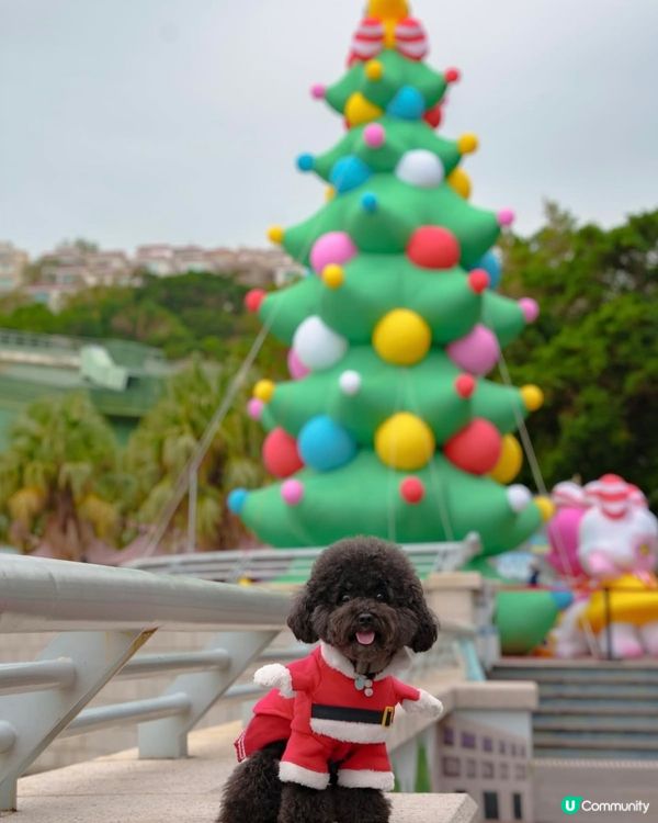 赤柱夠薑過聖誕！市集攻略 🎄🎁