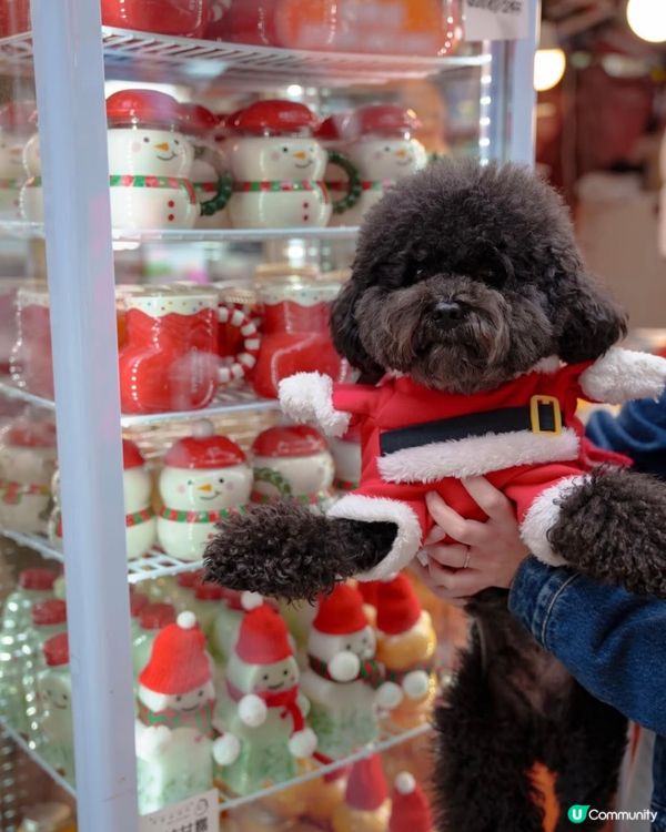 赤柱夠薑過聖誕！市集攻略 🎄🎁