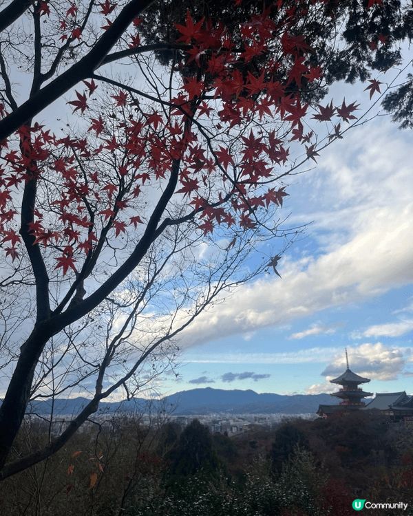 啱啱去咗大阪,趕得切睇紅葉, 不過都甩得七七八八啦, 冇所謂...