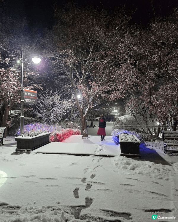 朋友送來的落雪美景，就像有新事、有美好事將要來臨！撥開地上的...