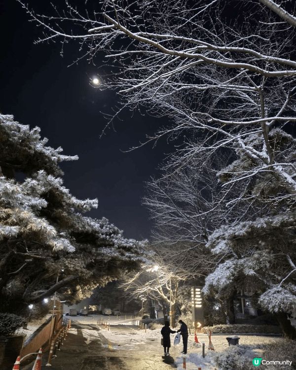 朋友送來的落雪美景，就像有新事、有美好事將要來臨！撥開地上的...