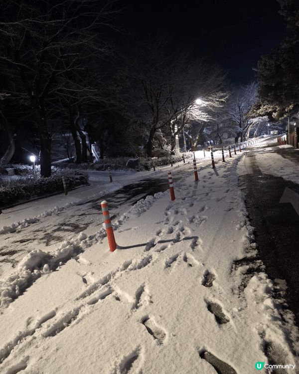 朋友送來的落雪美景，就像有新事、有美好事將要來臨！撥開地上的...