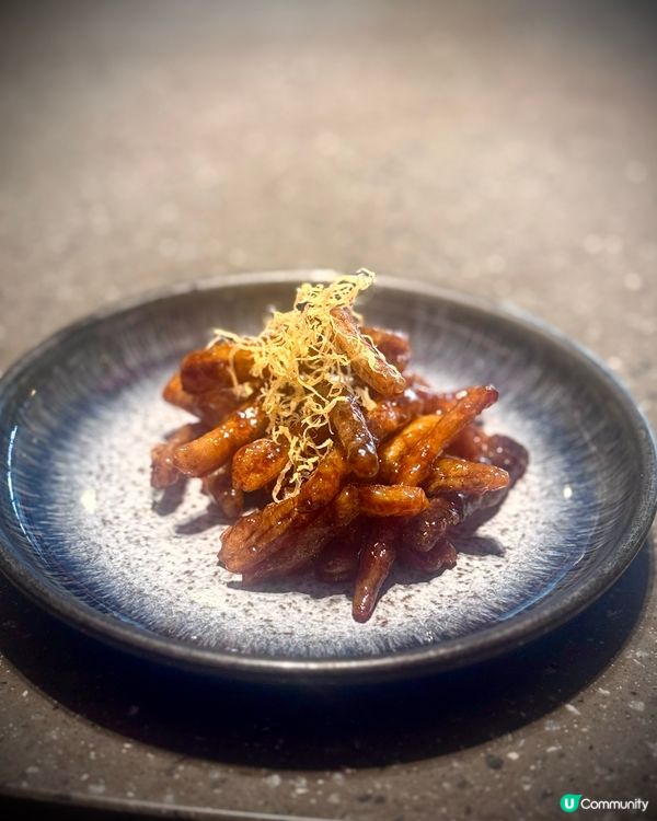 水底聖誕樹🎄賽馬會跑馬地會所中菜館大發現🤩