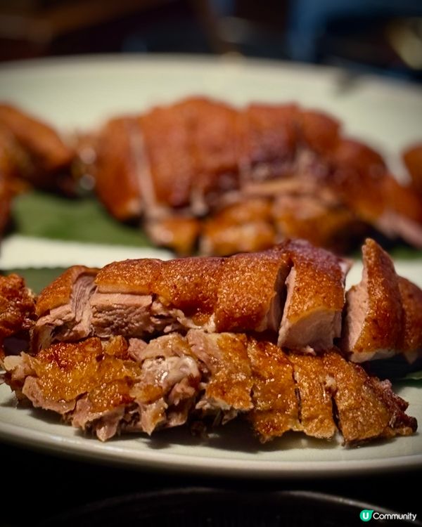 水底聖誕樹🎄賽馬會跑馬地會所中菜館大發現🤩