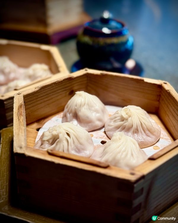 水底聖誕樹🎄賽馬會跑馬地會所中菜館大發現🤩