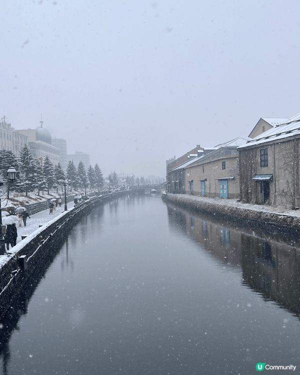 北海道賞雪之旅。突如其來的大雪，令個人的興奮情緒高漲不少。🤗...
