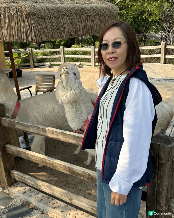 非常喜歡去旅行，過程中非常治癒，離開繁囂，身心舒泰
