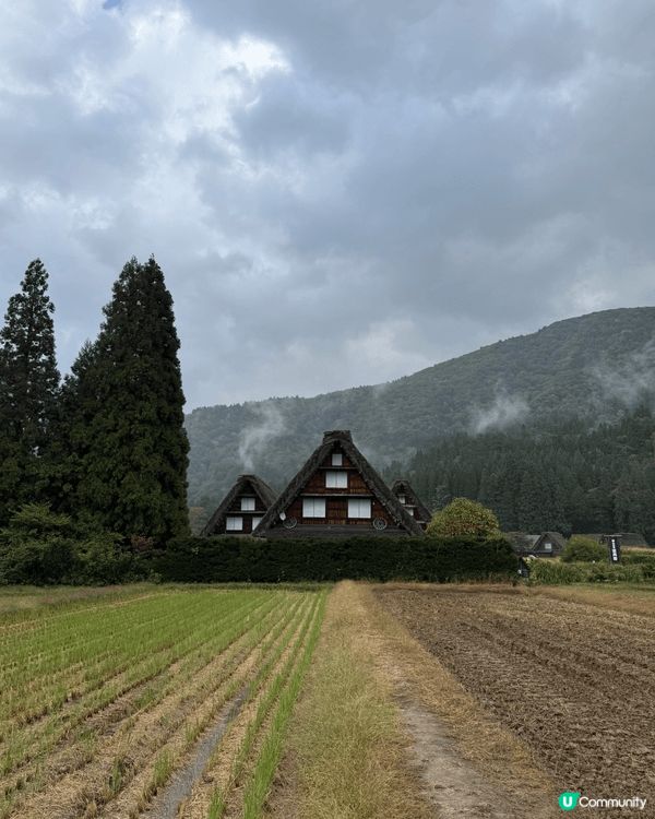 如果去名古屋自由行，真心推介去白川鄉合掌村啦！由名古屋站出發...
