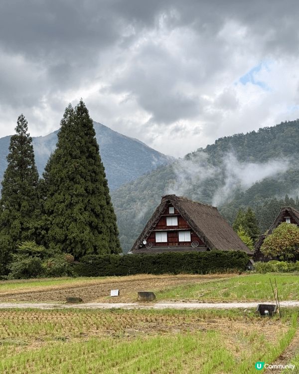 如果去名古屋自由行，真心推介去白川鄉合掌村啦！由名古屋站出發...