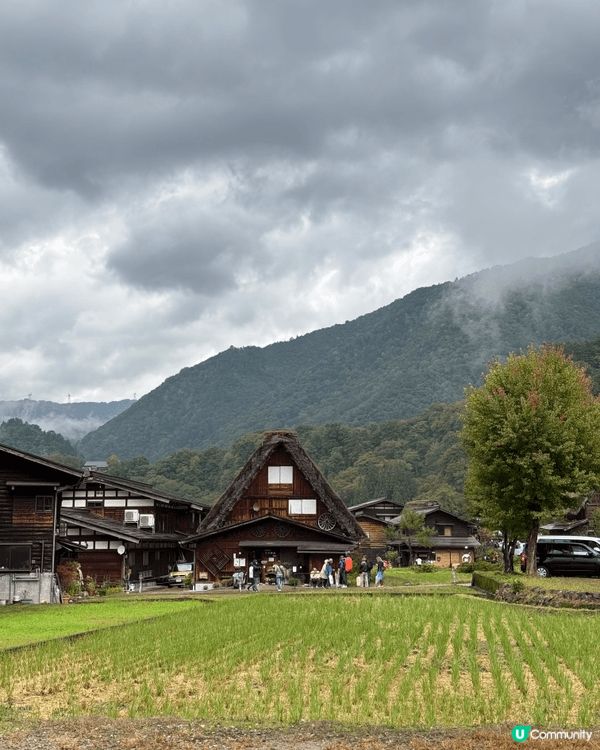 如果去名古屋自由行，真心推介去白川鄉合掌村啦！由名古屋站出發...