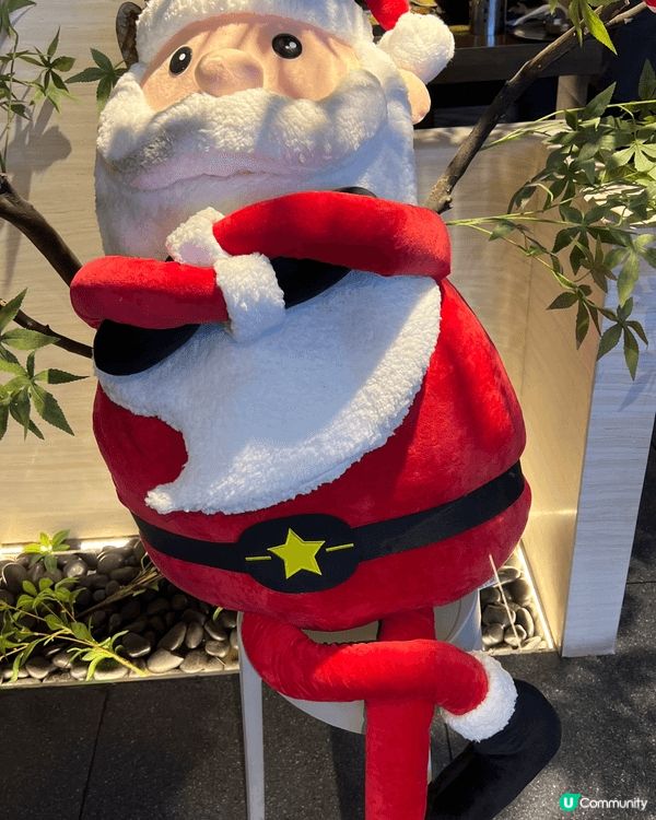 聖誕節是一個普天同慶的節日，無論你身在中國也可以感受到西方「...