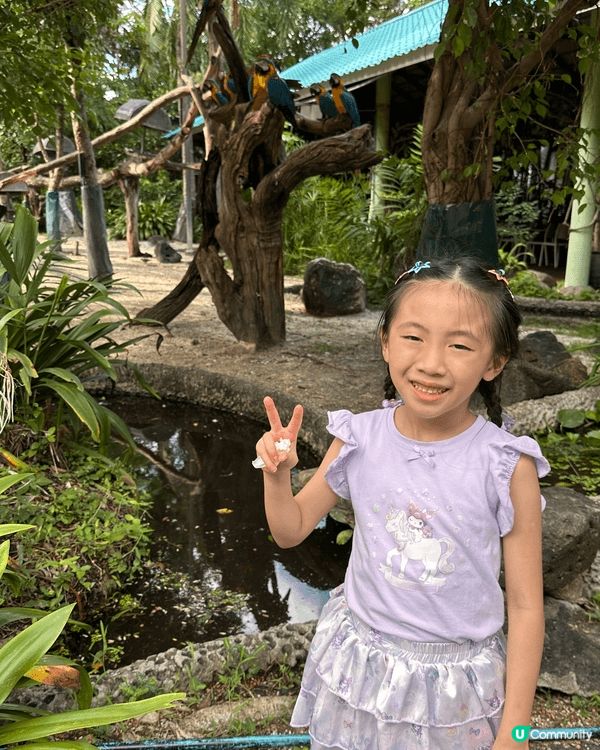 每逢假期都會帶小朋友北上周圍食住玩，發掘好食好玩好住既地方同...