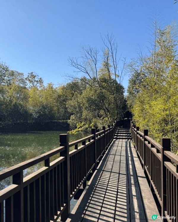 這是位於杭州的西溪國家濕地公園，是中國首個國家級濕地公園，與...