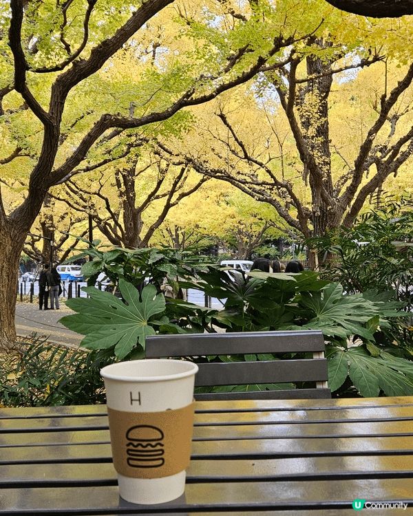 而家絕對係日本睇紅葉睇銀杏樹嘅好季節你睇下 禦苑外便兩條 兩...