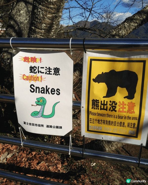 🗻富士山的清晨👍新倉富士淺間神社（三國第一山新倉富士浅間神社...