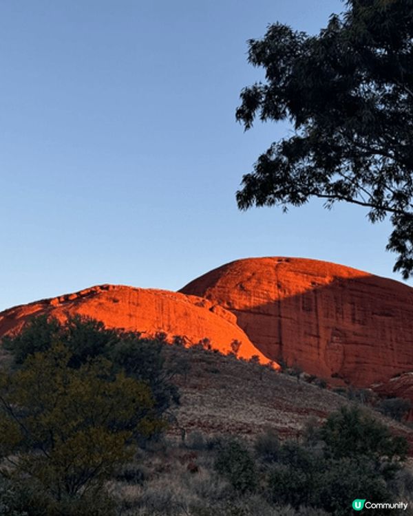 呢啲都係我去澳洲嘅時候自駕遊去影嘅靚相 有着大自然嘅風采同埋...