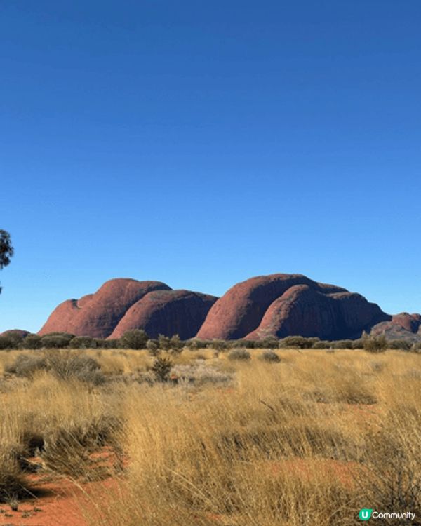 呢啲都係我去澳洲嘅時候自駕遊去影嘅靚相 有着大自然嘅風采同埋...