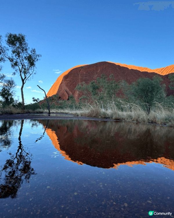 呢啲都係我去澳洲嘅時候自駕遊去影嘅靚相 有着大自然嘅風采同埋...