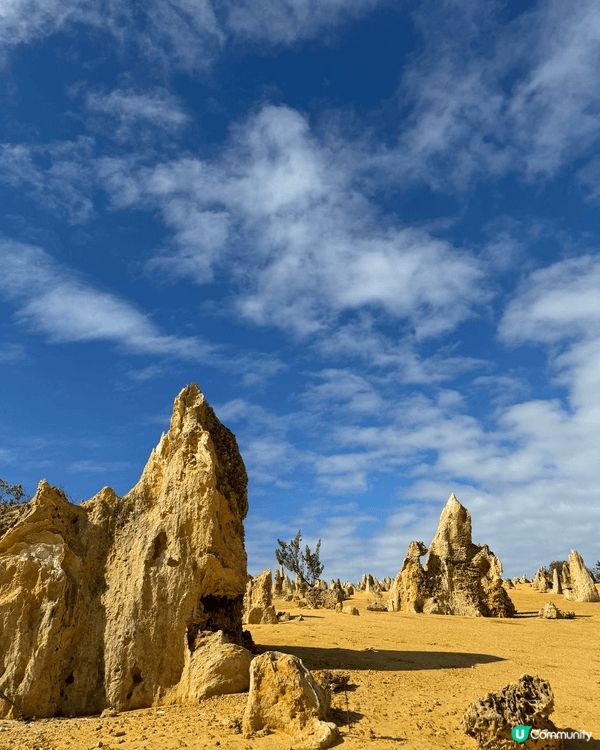 呢啲都係我去澳洲嘅時候自駕遊去影嘅靚相 有着大自然嘅風采同埋...