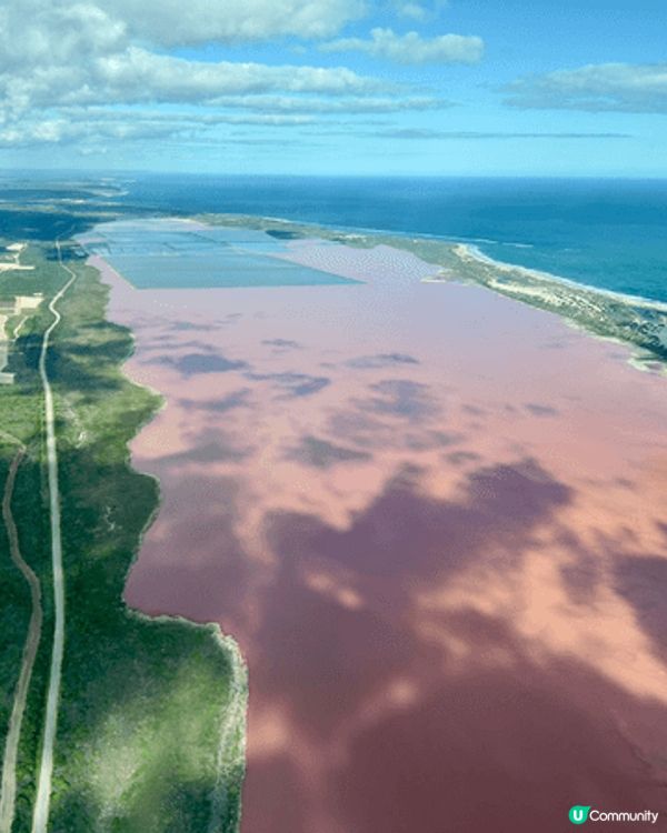 呢啲都係我去澳洲嘅時候自駕遊去影嘅靚相 有着大自然嘅風采同埋...