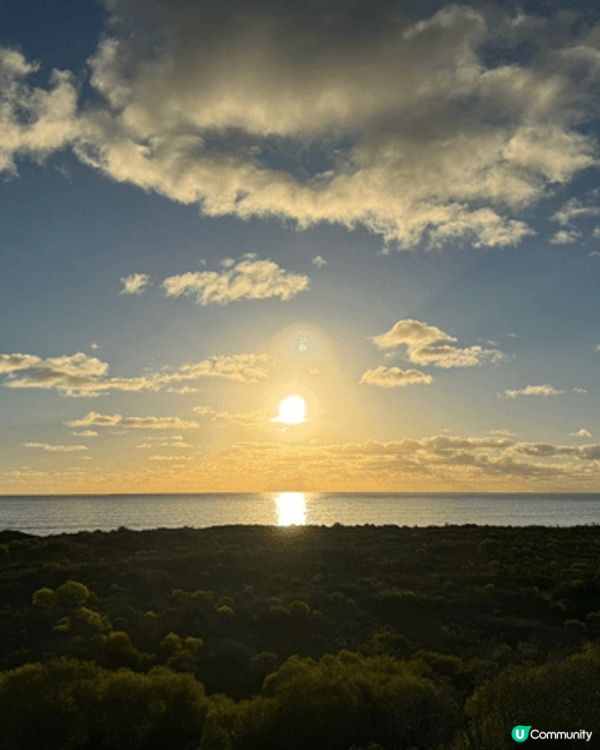 呢啲都係我去澳洲嘅時候自駕遊去影嘅靚相 有着大自然嘅風采同埋...