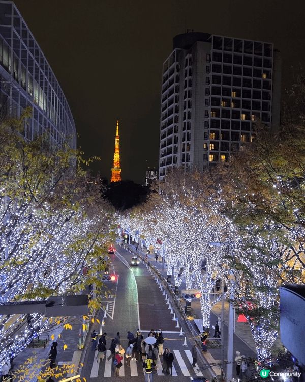 日本仍然是我旅行首選