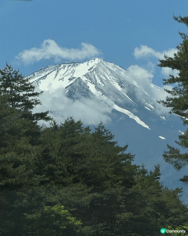 富士山之旅太夢幻了！清晨登頂，雲海翻湧，雪白山頂在朝陽下閃耀...