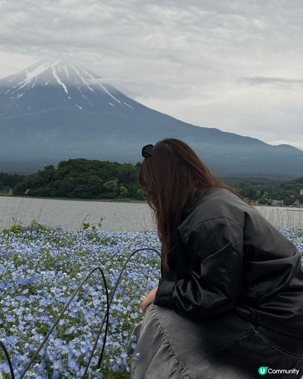 富士山之旅太夢幻了！清晨登頂，雲海翻湧，雪白山頂在朝陽下閃耀...
