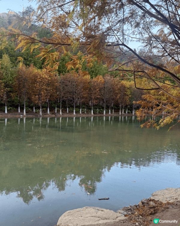 新豐紅葉之旅是一場美麗的秋季探險。楓葉色彩斑斕，風景如畫。在...