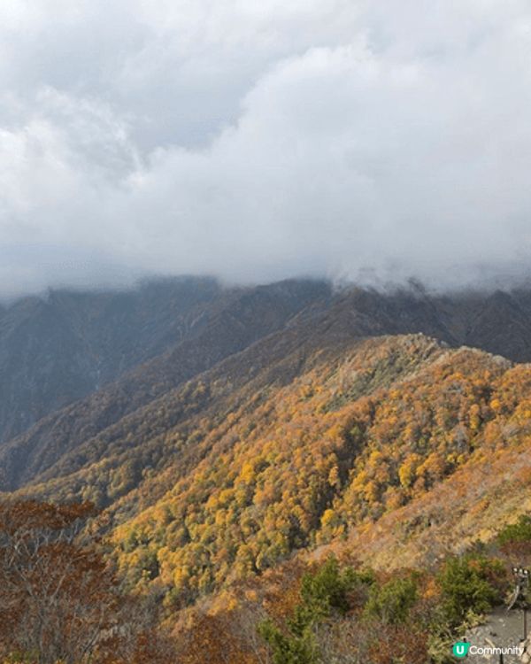 日本追楓之旅, 大風微雨之下, 上谷川岳為咗影滿滿紅葉嘅山頭...