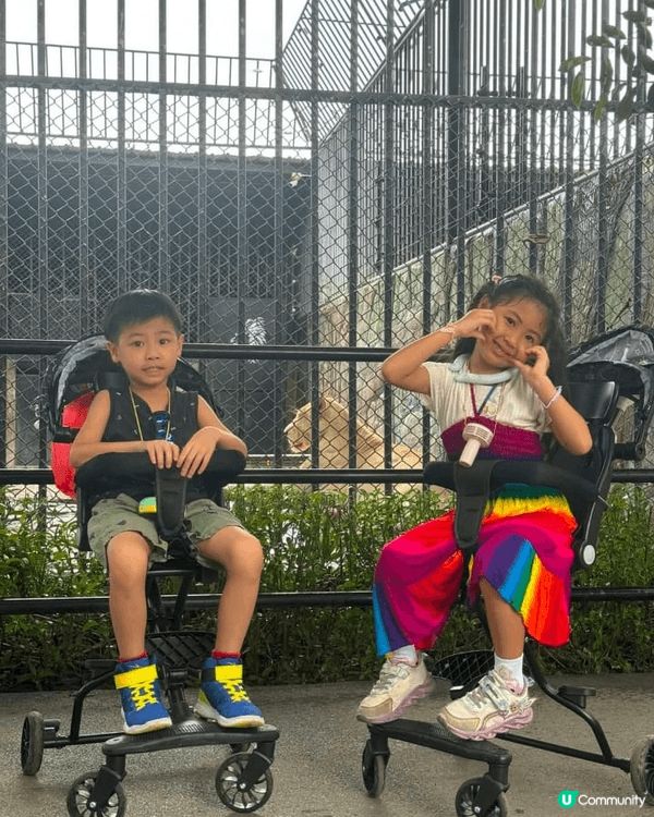 帶小朋友出行，充實又溫馨！ 動物園，多增長見聞，小朋友們緊牽...