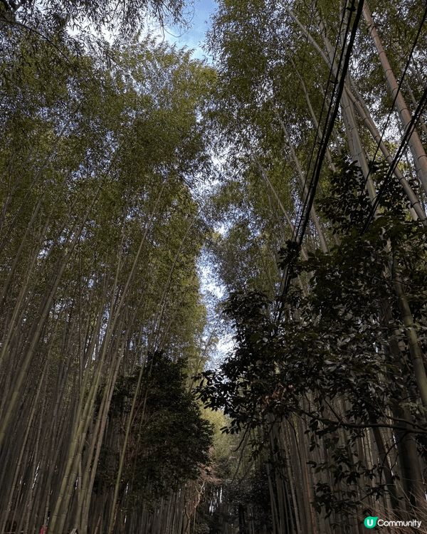 冬天去泰國超舒服 溫度適中 唔熱唔凍 快閃一流