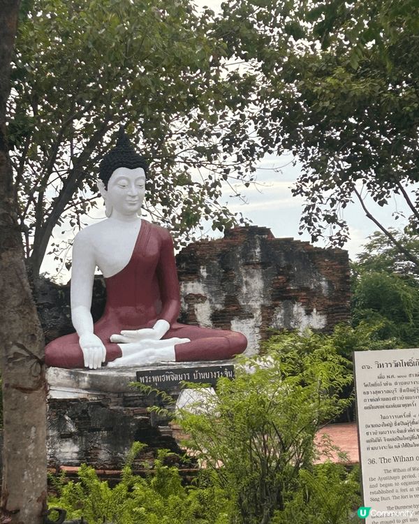 呢兩張相都係係泰國既暹羅古城影既，入面一共有116個歷史遺跡...