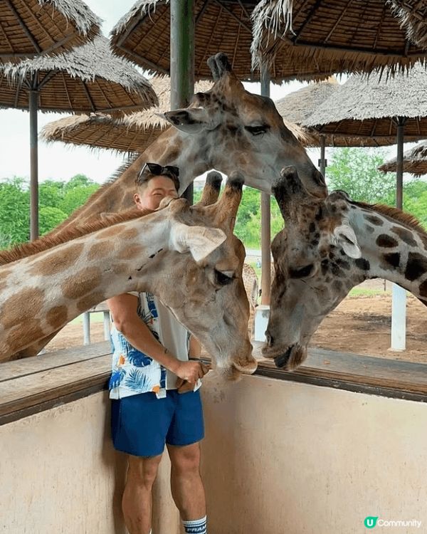 嗰日真係開心到飛起！喺曼谷Safari World Bang...