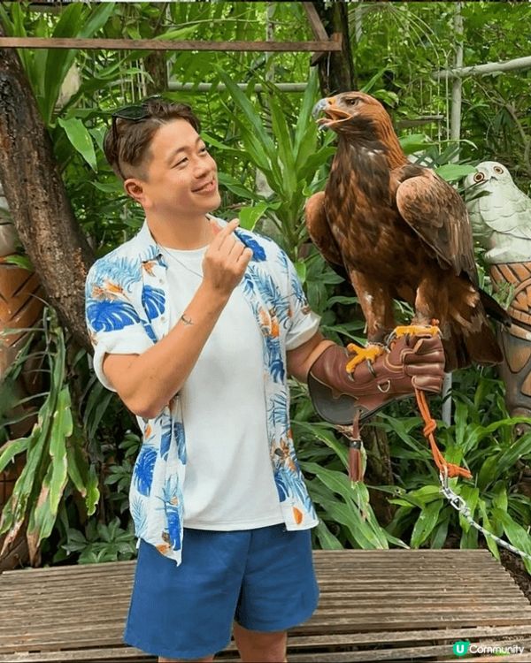 嗰日真係開心到飛起！喺曼谷Safari World Bang...