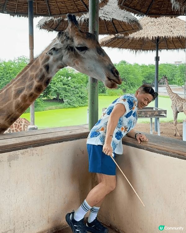嗰日真係開心到飛起！喺曼谷Safari World Bang...