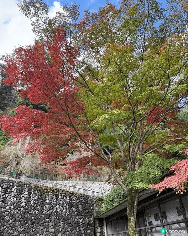 勝尾寺位於大阪箕面市山中，古剎有1300年歷史，被稱「勝運之...