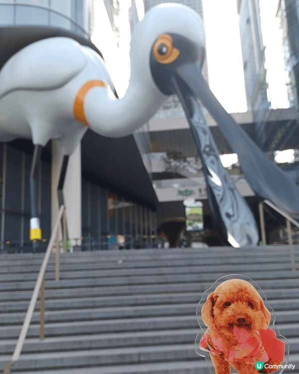 📍坂田萬科廣場 帶唔到狗狗嘅真身北上，唯有帶個替身打卡🤣 商...