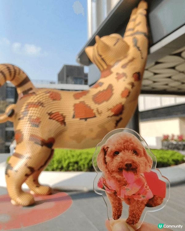 📍坂田萬科廣場 帶唔到狗狗嘅真身北上，唯有帶個替身打卡🤣 商...