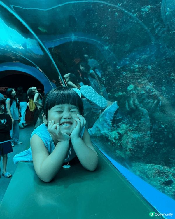 難忘既新加坡之旅，新加坡聖淘沙有動物園，環球影城，水族館於一...