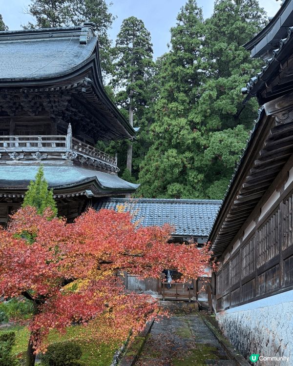 呢度係位於福井縣永平寺，環境清幽，禪修聖地。