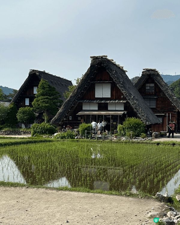 夏天去白川鄉根本是神仙級的避暑體驗！2025 年的 8 月，...