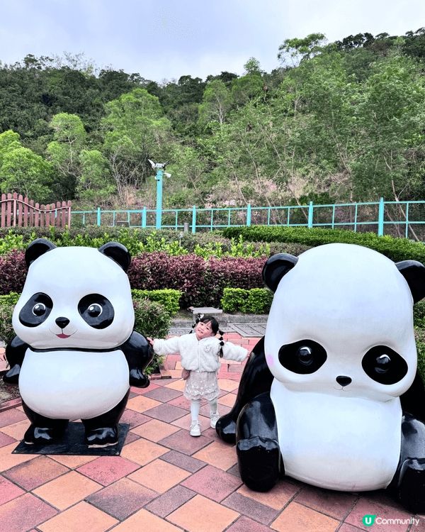 最近嘅天氣最適合就喺帶小朋友去野餐同去公園玩，開始溫度下降進...