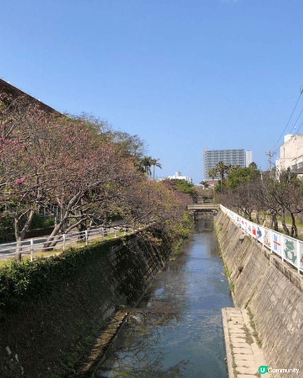 沖繩，真係一個旅遊散心的好地方，不像東京大阪那麼繁華熱鬧，卻...